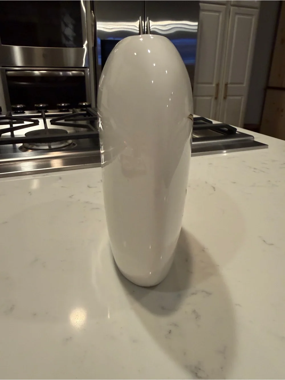 Japan Iris Floral Porcelain Vase vintage fine